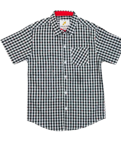 Gingham